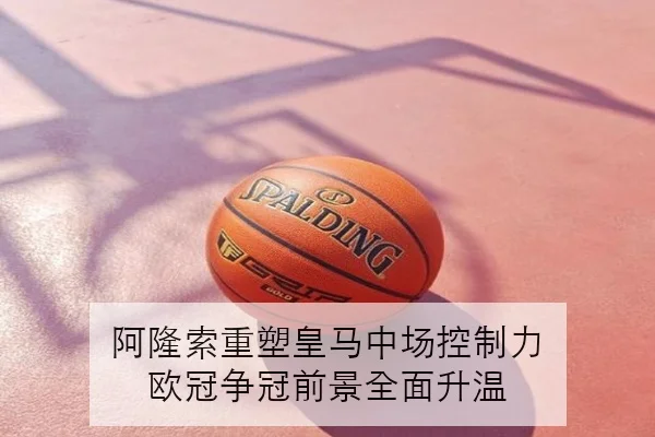 樊振东缺席队内集训后的后续安排与新周期选择深度解读